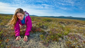 Dr. Margaret Torn at an NGEE field test site near Council, Alaska. Lawrence Berkeley National Laboratory – Roy Kaltschmidt, photographer.