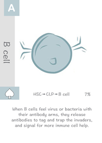 ALandrigan_B_cell_card_200x280