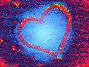 Photo by Ms. Phoenix