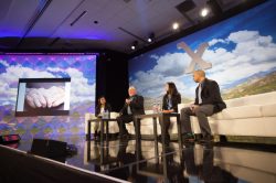 aging-panel-1024x683