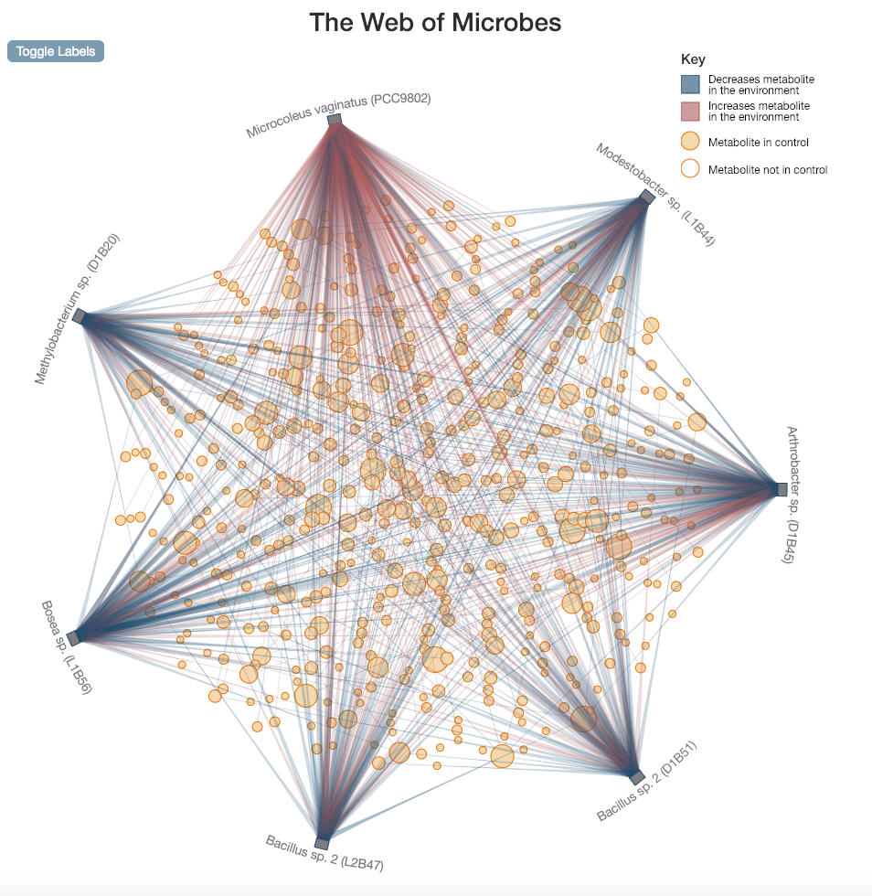 The Web view, BG11+MvExtract
