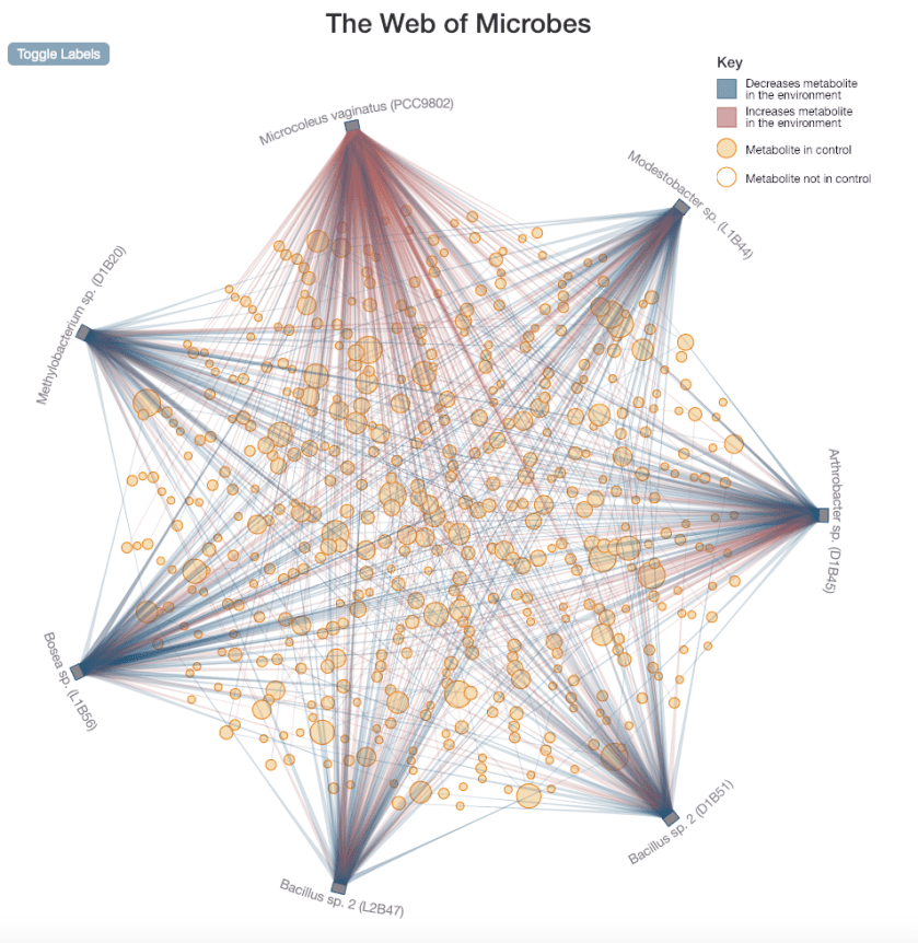 The Web view, BG11+MvExtract