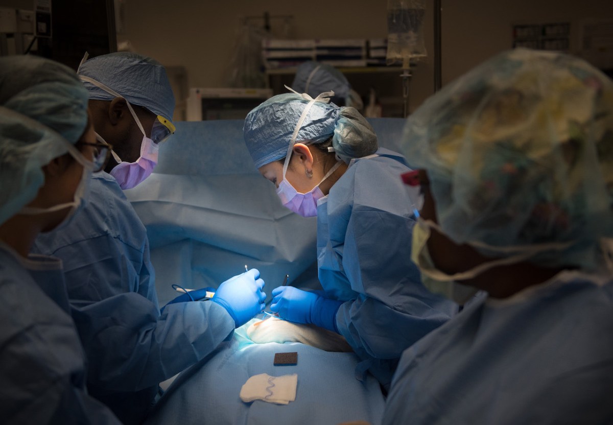 Behind the scenes with a Stanford pediatric&nbsp;surgeon
